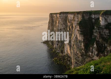 Bempton Cliffs Landscape View, Yorkshire, Regno Unito Foto Stock