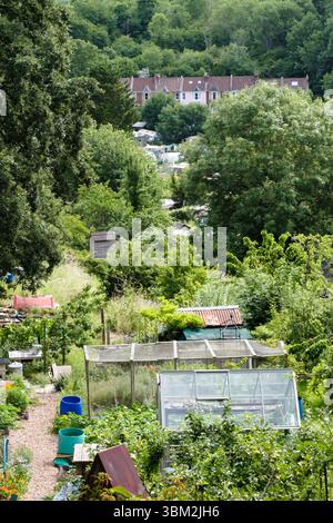 Veduta di Ashton vale allotments Bristol Regno Unito Foto Stock