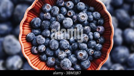 Mirtilli in un recipiente in ceramica. Primo piano di frutti di bosco freschi. Frutta succosa e dolce. Sano spuntino biologico. Superfood antiossidante naturale blu. Foto Stock