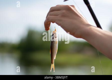 Uomo che tiene il pesce pescato su un gancio. Pesca sul fiume. Foto Stock