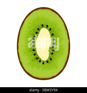 Illustrazione della frutta Kiwi a fette. La polpa verde kiwi è ricca di dettagli e presenta linee irradianti che imitano la consistenza naturale del frutto. Illustrazione Vettoriale