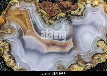Stati Uniti, Stato di Washington, Sammamish. Un dettaglio di un'agata di Laguna Foto Stock