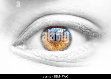 Descrizione: Occhio femminile marrone su pelle del viso desaturata. Struttura anatomica altamente dettagliata dell'iride umano. Scattata alla luce del giorno. Foto Stock