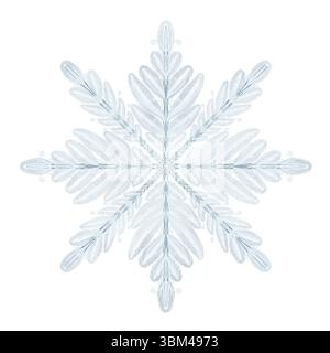 Fiocchi di neve ad acquerello con delicati motivi simmetrici che ricordano foglie e rami. Stile leggero e arioso, perfetto per l'inverno e le vacanze Foto Stock