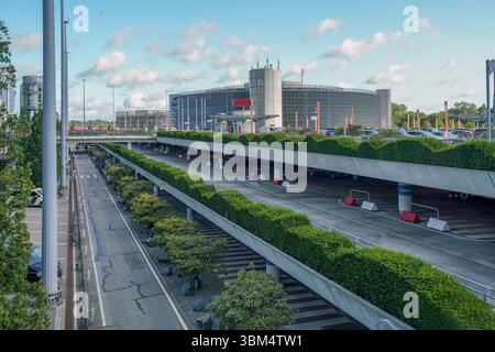 Incredibili cespugli topiari, il privet è una pianta fiorita del genere Ligustrum, UN GIARDINO giapponese DI ROCCIA A 0 PIANO a J nell'aeroporto di Hamburgi-fanatsti Foto Stock