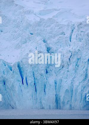 Furness Glacier vicino a Point Wild, il luogo in cui si trova l'accampamento della spedizione di Shackleton. Elephant Island in primavera. Antartide, Isole Shetland meridionali Foto Stock