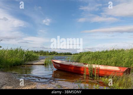 Barca rossa sulla riva estone del lago Peipus a Podmotsa, con giovani canne, cielo blu e una vista lontana della Russia dall'altra parte dell'acqua. Foto Stock