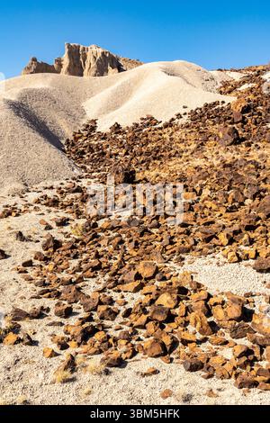 Stati Uniti, Texas, Big Bend National Park. Chisos Mountains e Tuff Canyon. Foto Stock