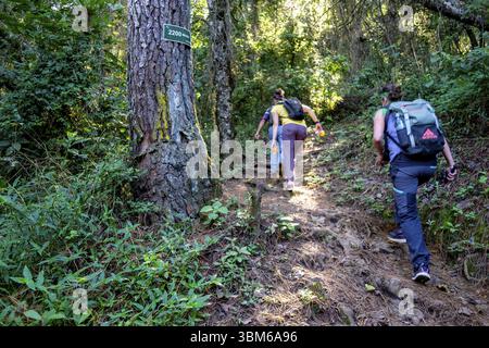 Ascensione al vulcano San Pedro 3020 m. parco ecologico del vulcano San Pedro, lago di Atitlan, dipartimento di Solola, Repubblica del Guatemala, C Foto Stock