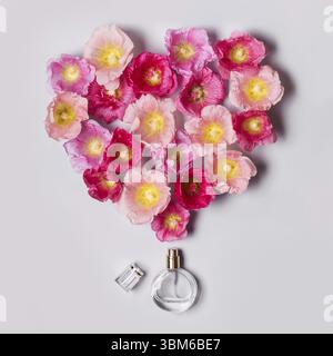 Le donne della bottiglia di profumo e di rosa fiori di malva. Il minimalismo Il concetto di bellezza Foto Stock