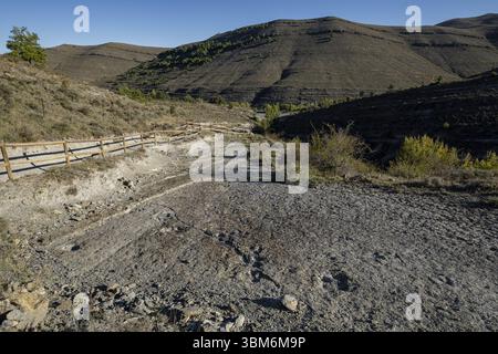 Tracce di dinosauro, sito Valdecevillo, Enciso, la Rioja, Spagna, Europa Foto Stock