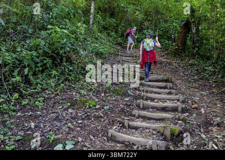 Ascensione al vulcano San Pedro 3020 m. parco ecologico del vulcano San Pedro, lago di Atitlan, dipartimento di Solola, Repubblica del Guatemala, C Foto Stock