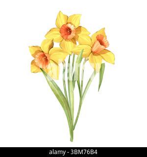 Bouquet di fiori di narcisi. Illustrazione floreale dipinta a mano a molla. Foto Stock