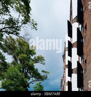 Persiane a finestra su un muro di mattoni in pietra di Amsterdam, di fronte a verdi alberi di strada. Foto Stock