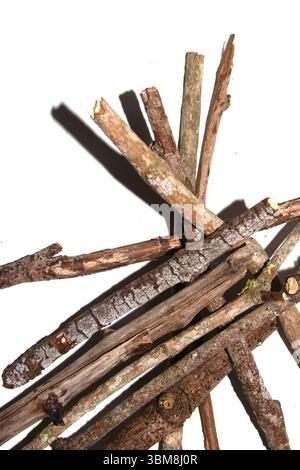 Piccoli ramoscelli naturali caduti, bastoncini e rami su sfondo bianco Foto Stock