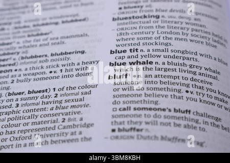 Dizionario di definizione inglese pagina di parola stampata - immagine bludd Close Up Foto Stock