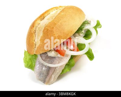 Aringa Matjes - Pesce Bun su sfondo bianco Foto Stock