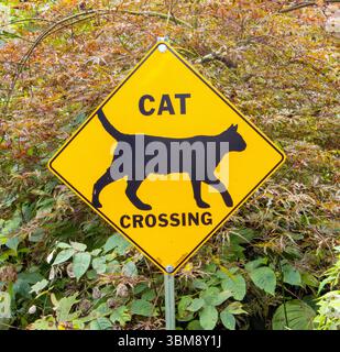 Il cartello con l'attraversamento del fiume Cat in Tennessee avvisa gli autisti di avvistare i gatti locali che attraversano la strada in un'area in cui sono ammessi gli animali domestici. Foto Stock