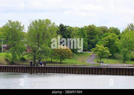 Sterling, NY, USA - 29 maggio 2025 - gruppo di bambini Amish che pescano da un molo in tarda primavera. Trotto di cavalli e buggy. Foto Stock