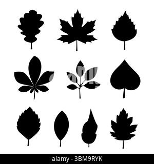 Varie sagome di foglie disposte in una griglia che mostra diverse specie di alberi e forme di piante Illustrazione Vettoriale