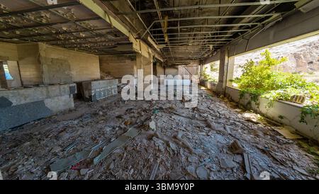Interno dell'edificio abbandonato con detriti e piante sovrastate. Foto Stock