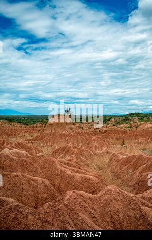 Splendida vista del deserto Tatacoa a Huila, Colombia, caratterizzato da formazioni uniche di suolo rosso sotto un cielo blu con nuvole sparse. Foto Stock