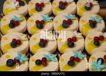 torte singole, eventualmente mini cheesecake o mousse, decorate con frutti di bosco (mirtilli e ribes rossi), Foto Stock