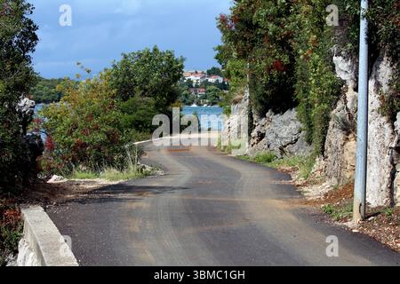 La strada asfaltata si snoda lungo una costa rocciosa delimitata da una fitta foresta, con viste sull'acqua e case lontane, creando un percorso panoramico tra le scogliere Foto Stock