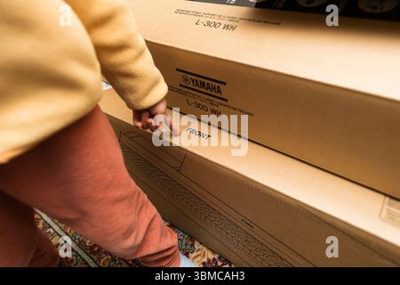 Parigi, Francia - 27 novembre 2024: Vista ravvicinata dell'etichetta della scatola dell'unità pedale Yamaha LP-1WH con numeri di serie, codici a barre e informazioni sulla conformità. Foto Stock