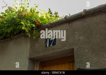 Vista ravvicinata di una parete grigia intemprata, con il numero diciassette ben visibile su una piastrella blu scuro. Vigne verdeggianti con vivaci fiori rossi Foto Stock