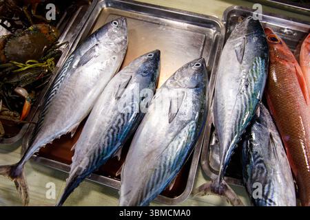 Mercato asiatico del pesce, pesce fresco sgombro e pesce in vendita Foto Stock