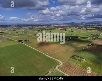 Es Pla de Llodra Countryside, Manacor, Maiorca, Isole Baleari, Spagna, Europa Foto Stock