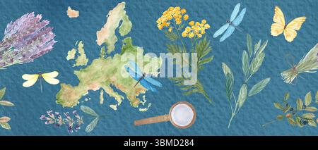 Mappa dell'Europa, elementi botanici, libellule, farfalla senza cuciture confine blu. Lavanda, salvia, mirtillo, tansy. Ideale per erboristeria Foto Stock