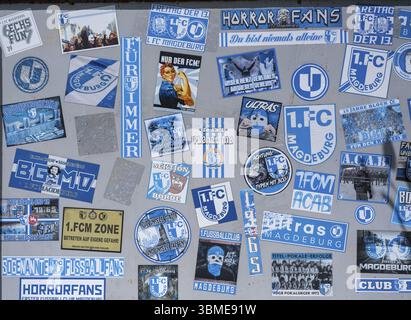 Adesivi di Ultras, fan dell'horror, fan hardcore della squadra di calcio 1. FC Magdeburg su una tavola al Jersleber SEE, Jersleben, Sassonia-Anhalt, Germania Foto Stock