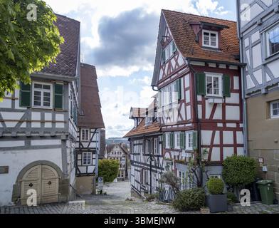Case a graticcio nella città vecchia, Herrenberg, Baden-Wuerttemberg, Germania, Europa Foto Stock