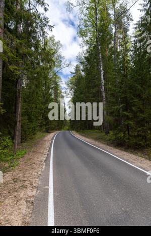 Una bella strada che si snoda attraverso una fitta foresta, delimitata da alberi verdi vibranti e da un ambiente sereno, che mostra la pace all'aperto e il collegamento con il Foto Stock