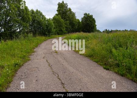 Tranquillo sentiero di campagna che si snoda attraverso una vibrante vegetazione, delimitata da erba alta e fiori selvatici colorati, sotto un cielo nuvoloso. Ideale per la natura, tranqu Foto Stock