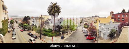 Un'ampia vista panoramica che mostra una splendida strada residenziale a San Francisco, caratterizzata da architettura classica, palme e una vivace vegetazione Foto Stock