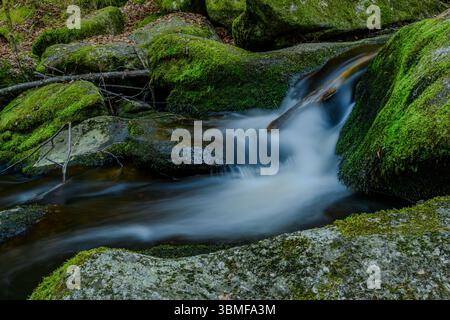 Un piccolo ruscello nella valle di Höllbach vicino a Ratisbona scorre dolcemente sopra le pietre coperte di muschio. I dintorni tranquilli creano Un'armoniosa interazione B. Foto Stock