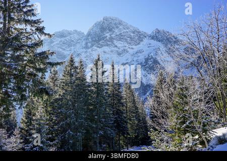 Sentiero rosso per Morskie Oko nel Parco Nazionale Tatra, Polonia Foto Stock