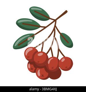 Bacche autunnali con foglie verdi ramificate. Elemento botanico stagionale. Illustrazione isolata del vettore cartoni animati su sfondo bianco Illustrazione Vettoriale