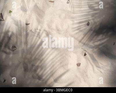 Spiaggia sabbiosa e ombra di foglie di palma. Sfondo estivo con ombra di foglie di cocco, vista dall'alto Foto Stock