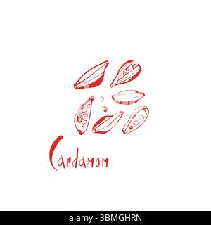 Cialde e semi di cardamomo rossi disegnati a mano con scritte moderne su sfondo bianco, perfette per il confezionamento e l'arredamento a parete della cucina Illustrazione Vettoriale