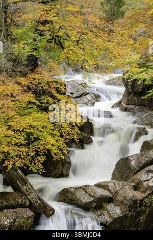 Corridoio verde del fiume Veral, valli occidentali, catena montuosa dei Pirenei, provincia di Huesca, Aragona, Spagna, Europa Foto Stock