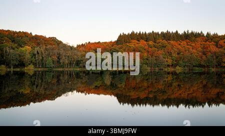 Immagine panoramica del paesaggio all'interno del Vulkan Eifel, Renania-Palatinato, Germania Foto Stock