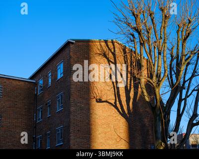 Regno Unito, Londra, 29 giugno 2025. Il sole del tardo pomeriggio proietta spettacolari ombre sugli alberi su un edificio residenziale in mattoni in un tranquillo quartiere del ci Foto Stock