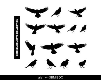 Sagome vettoriali di alta qualità in varie posizioni, volando, riposando e arroccato. Ideale per loghi, t-shirt, poster e design a tema naturale Illustrazione Vettoriale