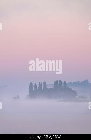Lago Blagdon, Somerset all'alba in una mattinata nebbiosa in primavera con una splendida alba pallida che si mostra attraverso la nebbia Foto Stock