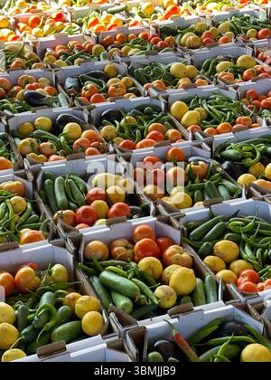 Preparare una grande scatola di aiuti vegetali per le famiglie povere. Foto Stock