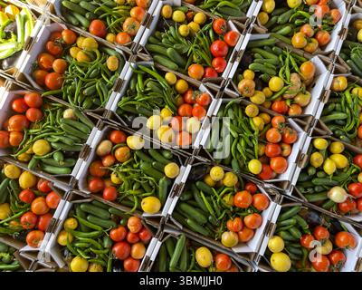 Scatola di aiuto vegetale con varie verdure come pomodori, peperoni, limoni e melanzane per le famiglie povere. Foto Stock